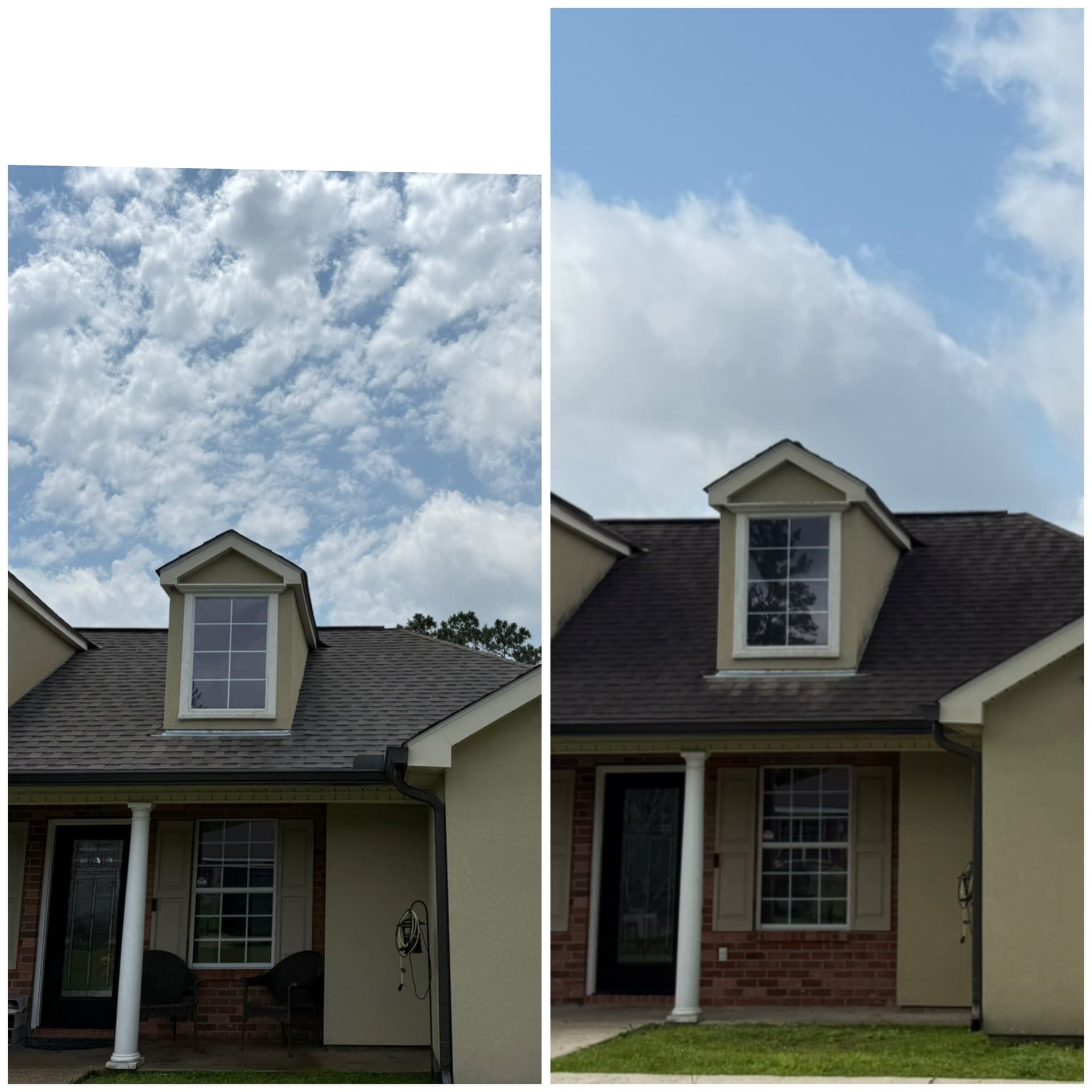 Northshore House Roof Cleaned and Revived image