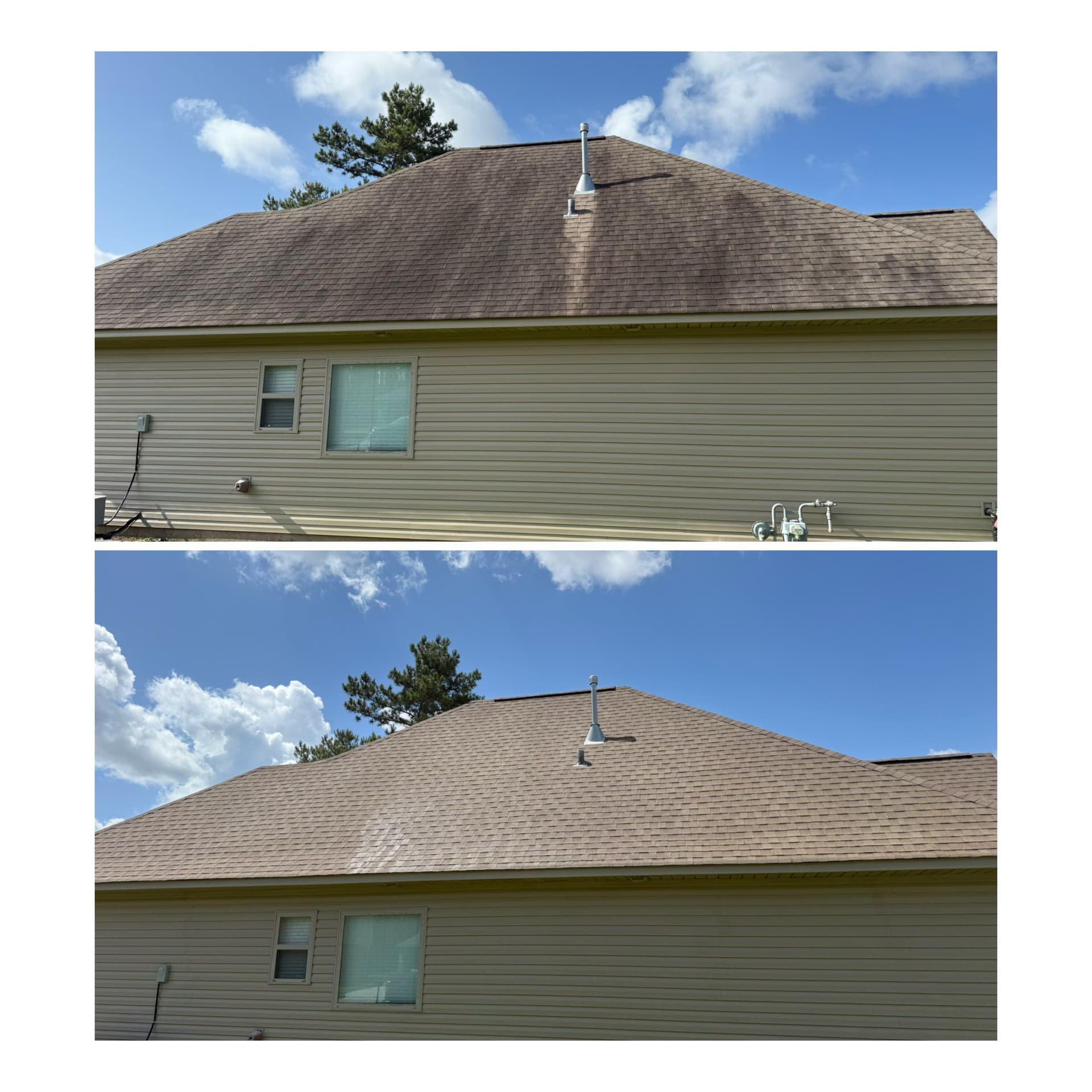 Stain-Free Roof Transformation in Hammond